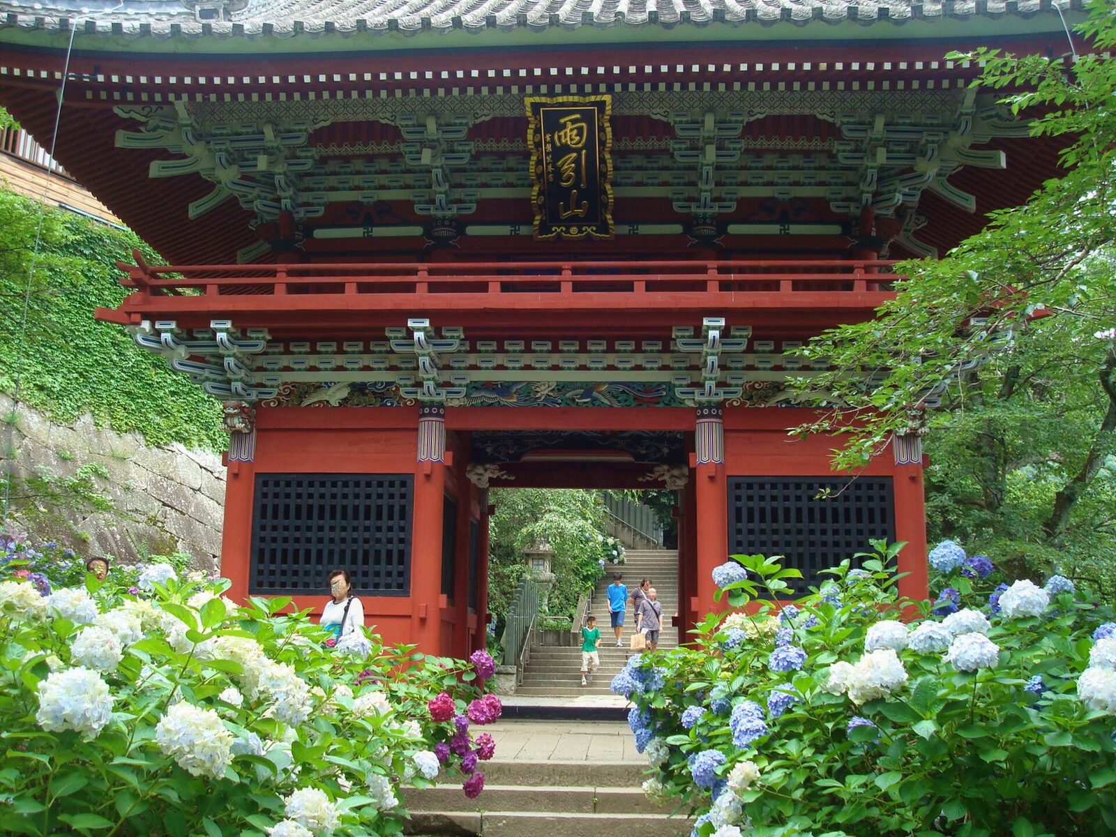 紫陽花に彩られた雨引観音の仁王門