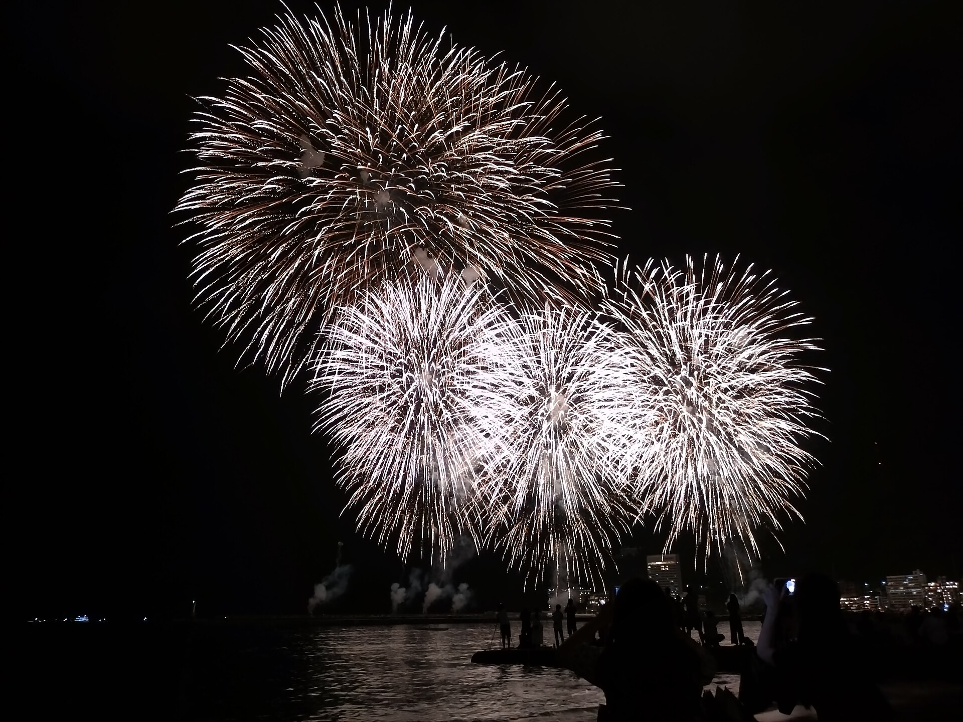 熱海海上花火大会。海と山にこだまする大輪が、旅の夜を彩る