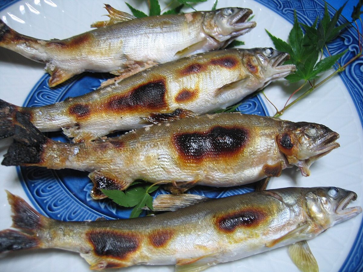 鮎の塩焼きのイメージ