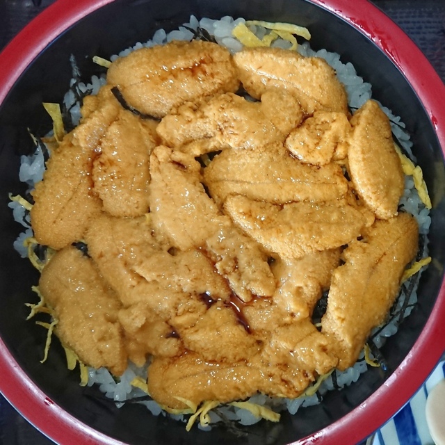 お食事の店みさきの生ウニ丼