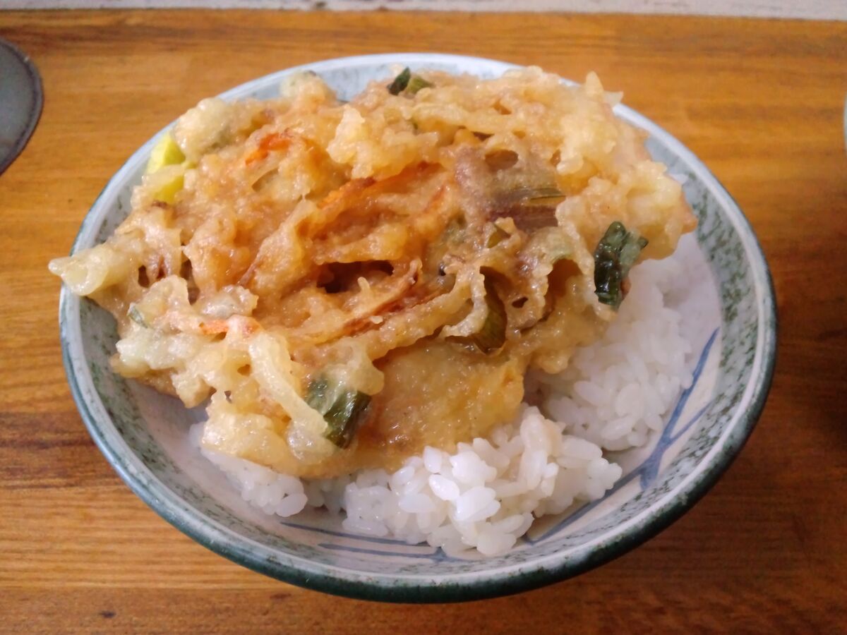 野菜天ぷらがのった天丼(イメージ)