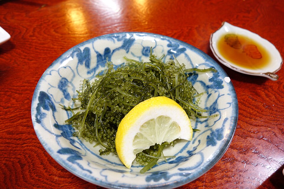海ぶどう