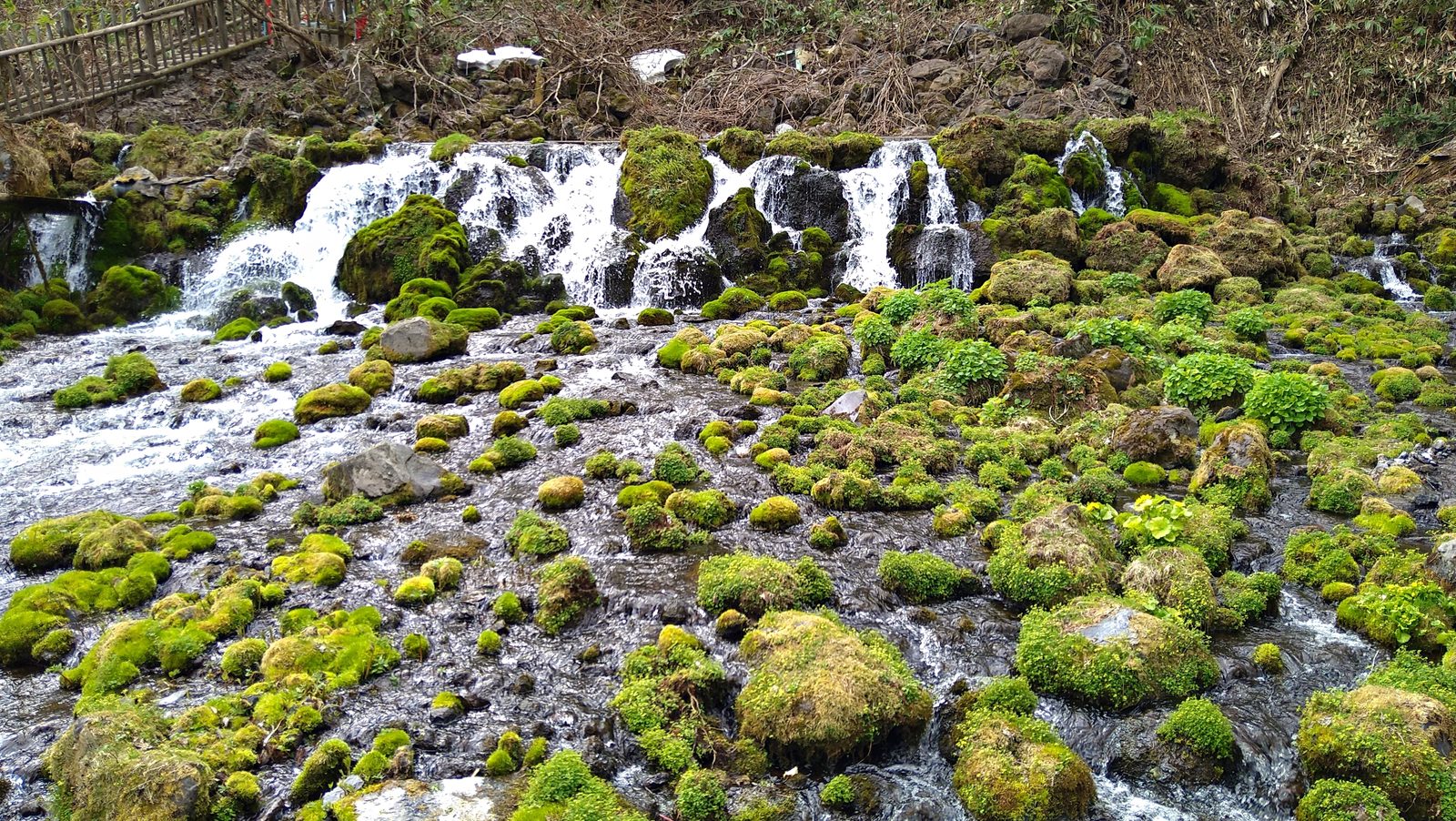 羊蹄山の伏流水が苔むした岩からあふれ出るふきだし公園の湧水
