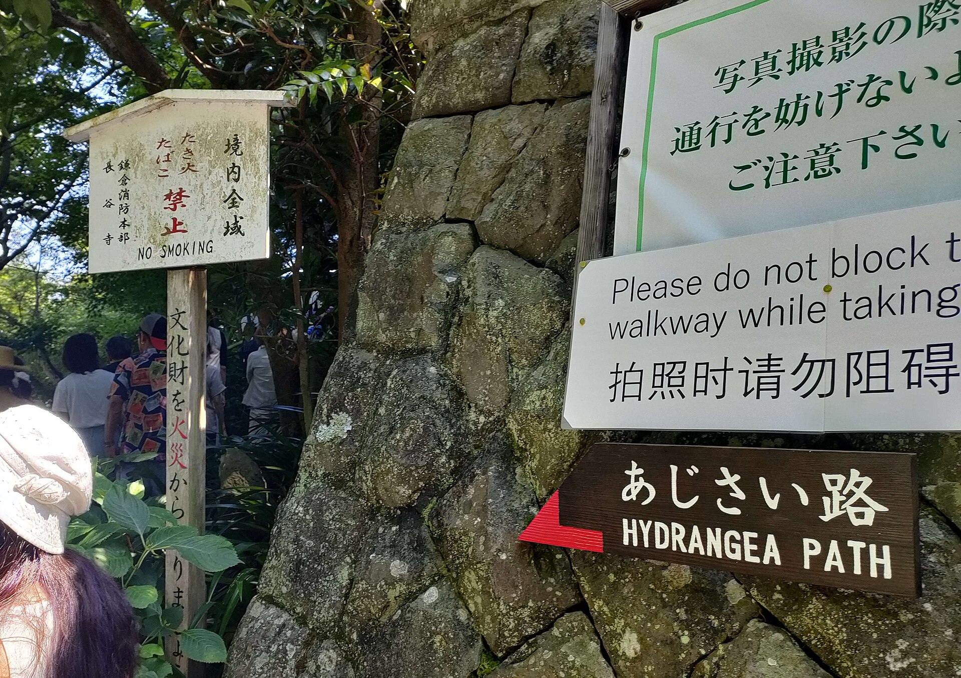 長谷・坂ノ下
