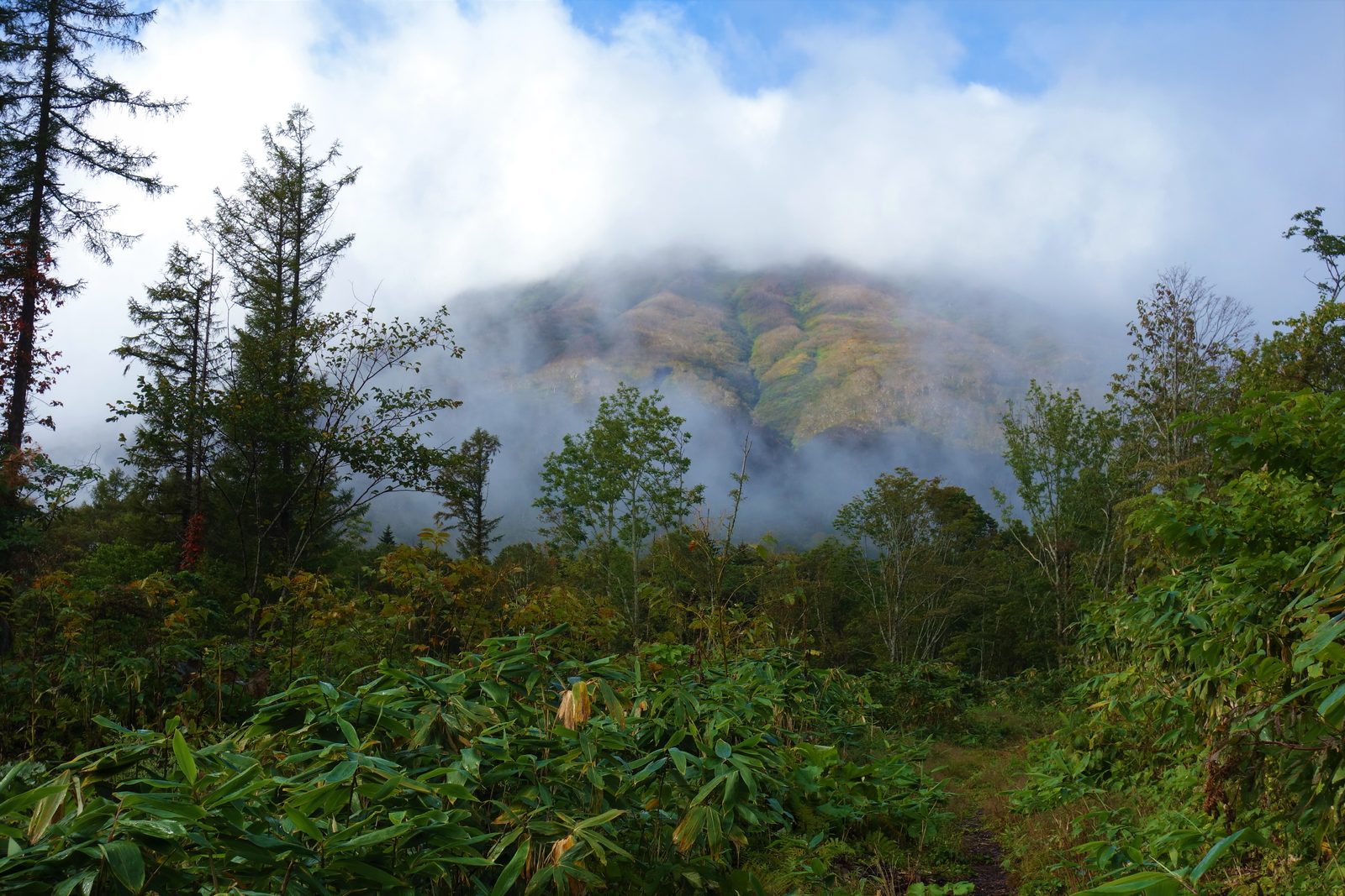 羊蹄山登山道の京極コースから望む山肌