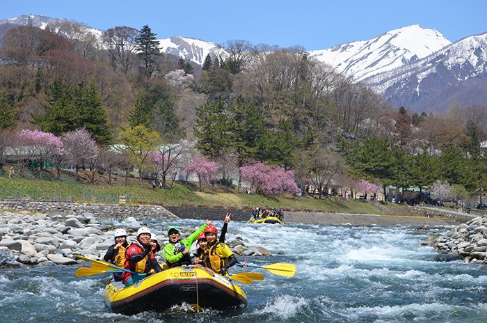 残雪の谷川連峰と桜を背に利根川を下るラフティングボート