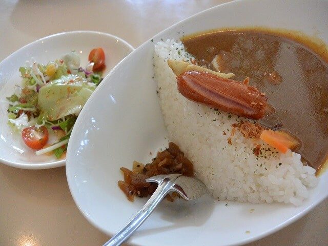 ライスでダムの堤体を再現したみなかみダムカレー