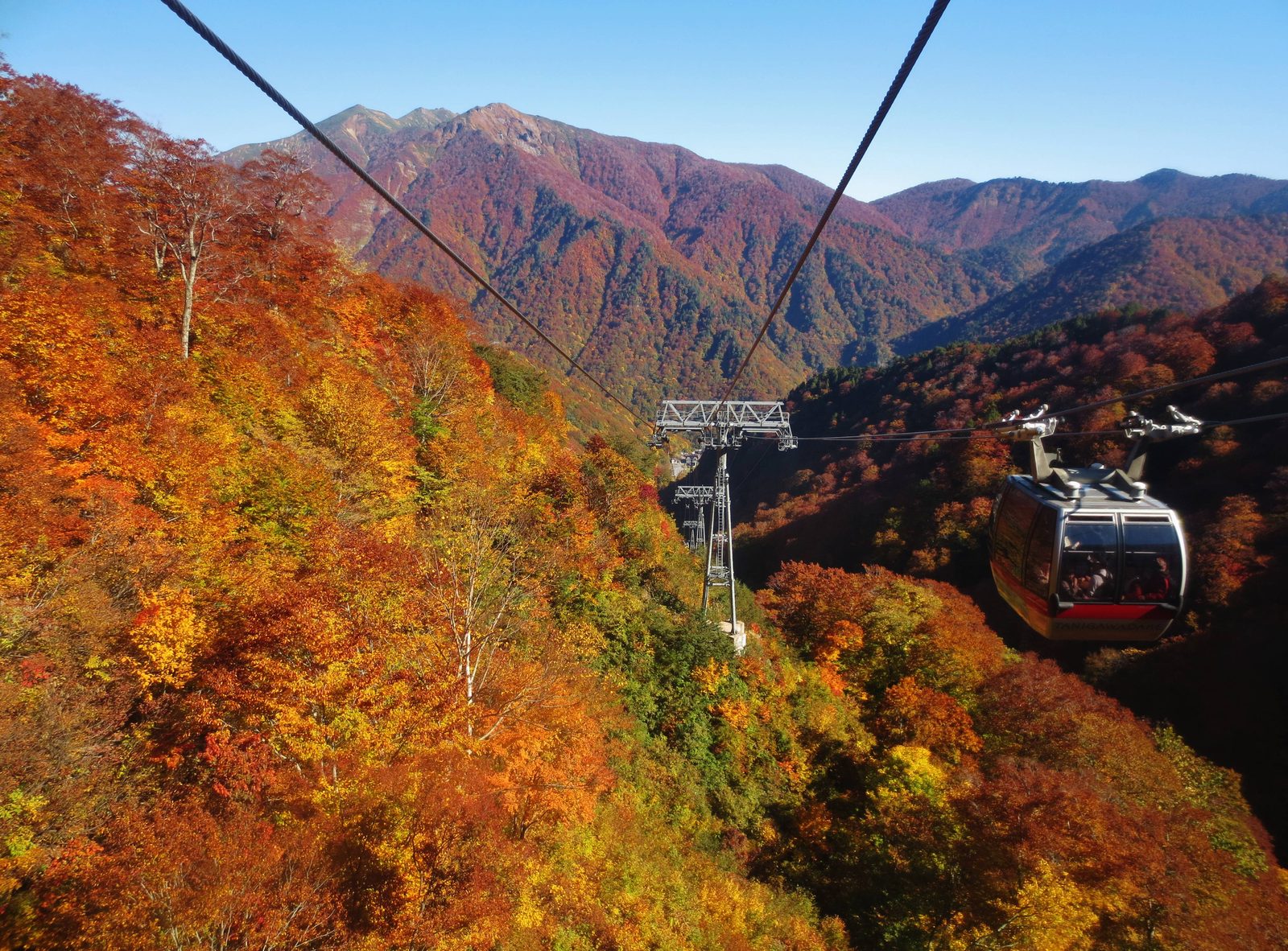 紅葉の谷を渡る谷川岳ロープウェイのゴンドラ
