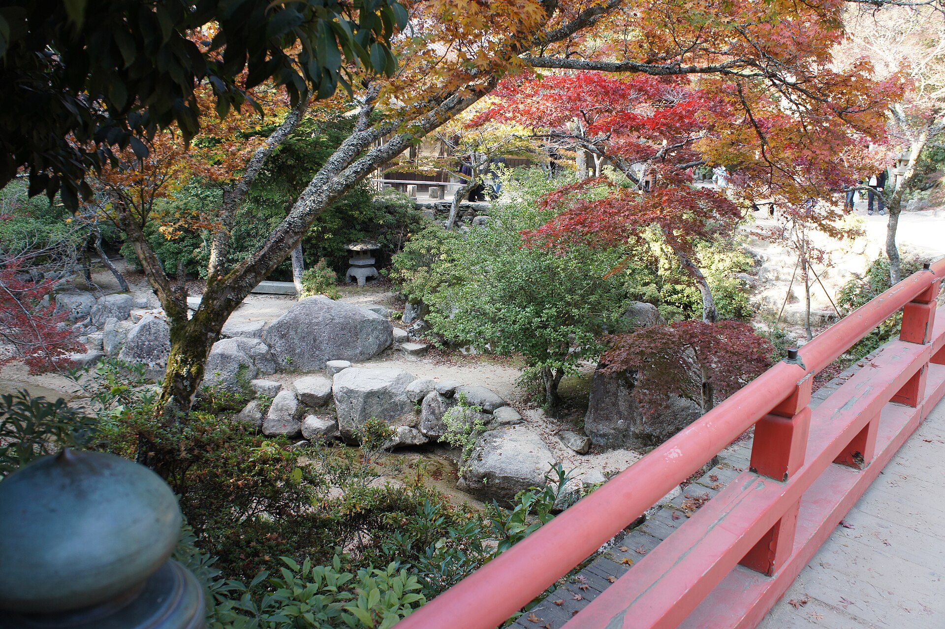 宮島・紅葉谷公園の色づくもみじ