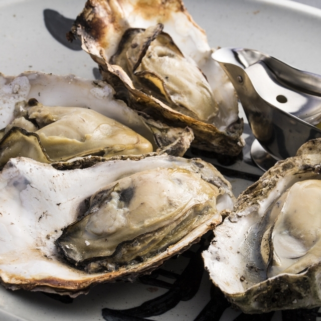 殻ごと炭火で焼かれる広島の牡蠣