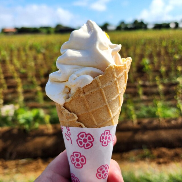 農園のソフトクリーム