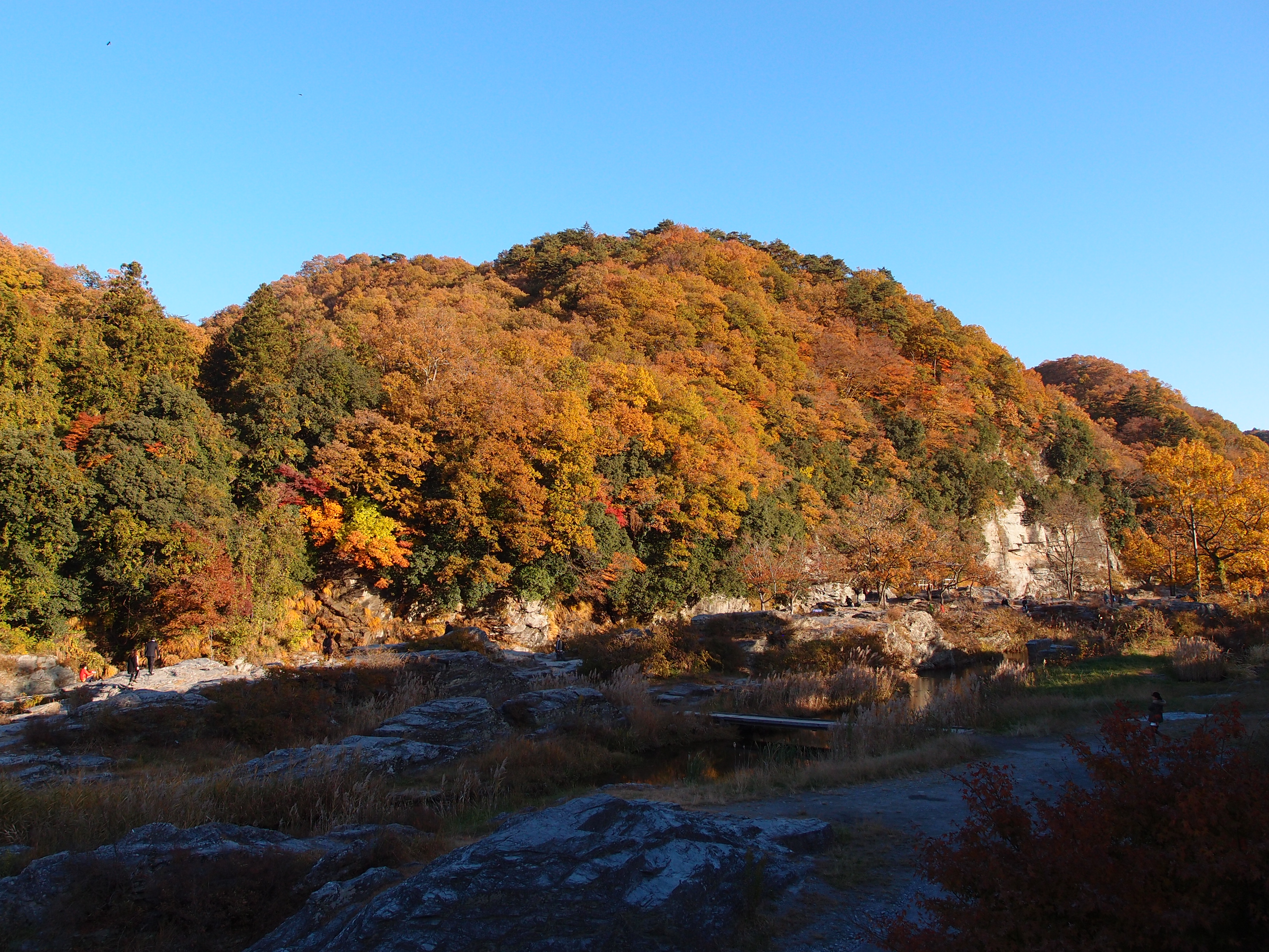 紅葉の季節の長瀞岩畳周辺の山