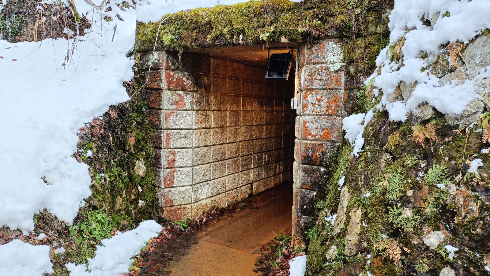 雪に囲まれた延沢銀山の坑道入口