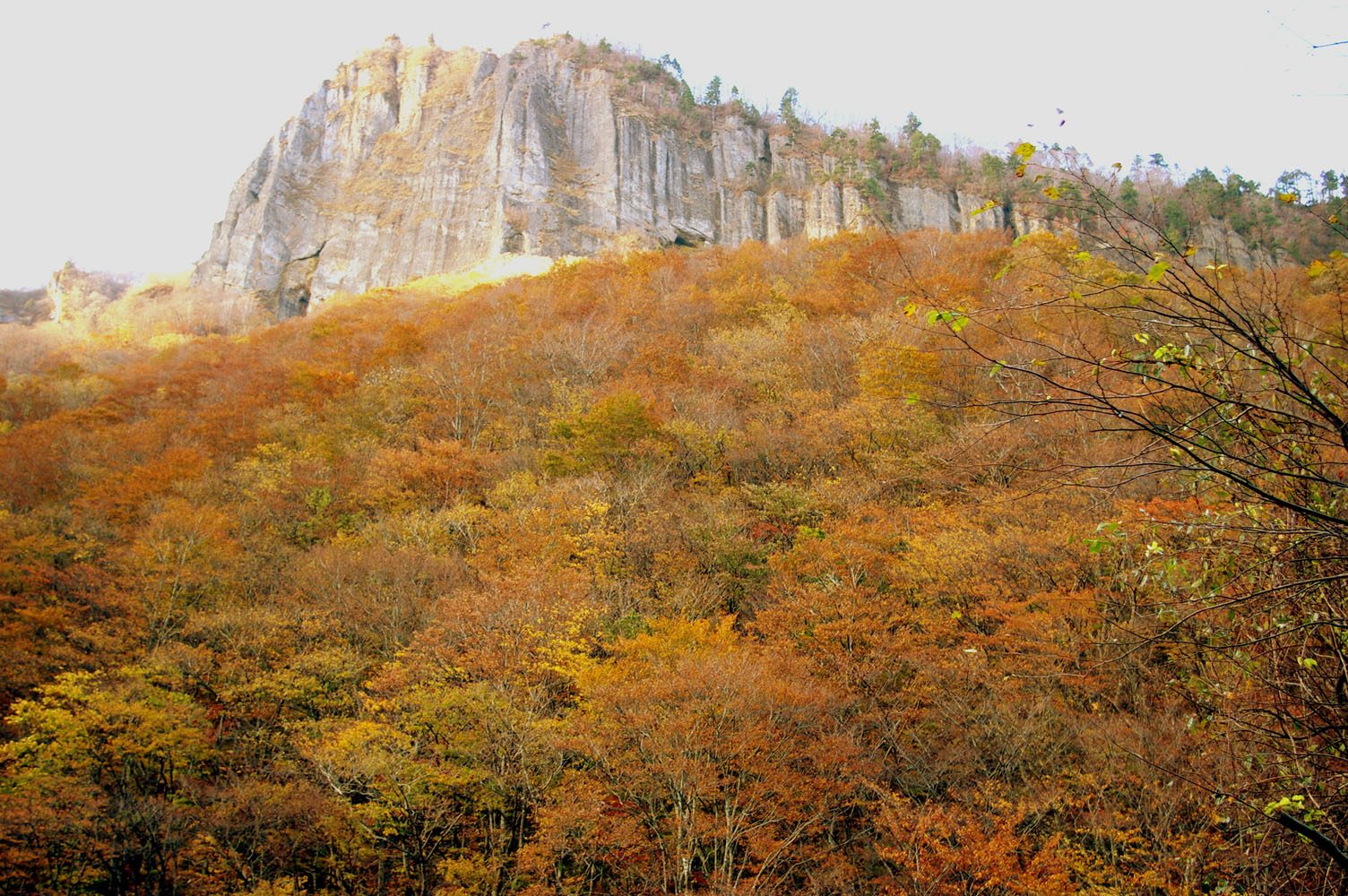 磐司岩と二口峡谷の紅葉