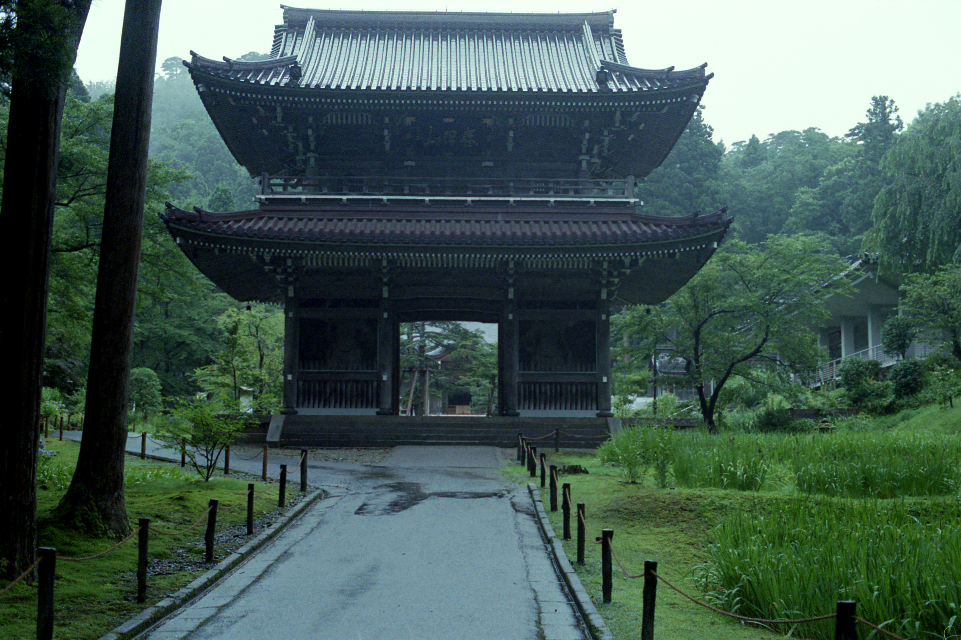 雨に濡れた参道の先に立つ林泉寺の山門