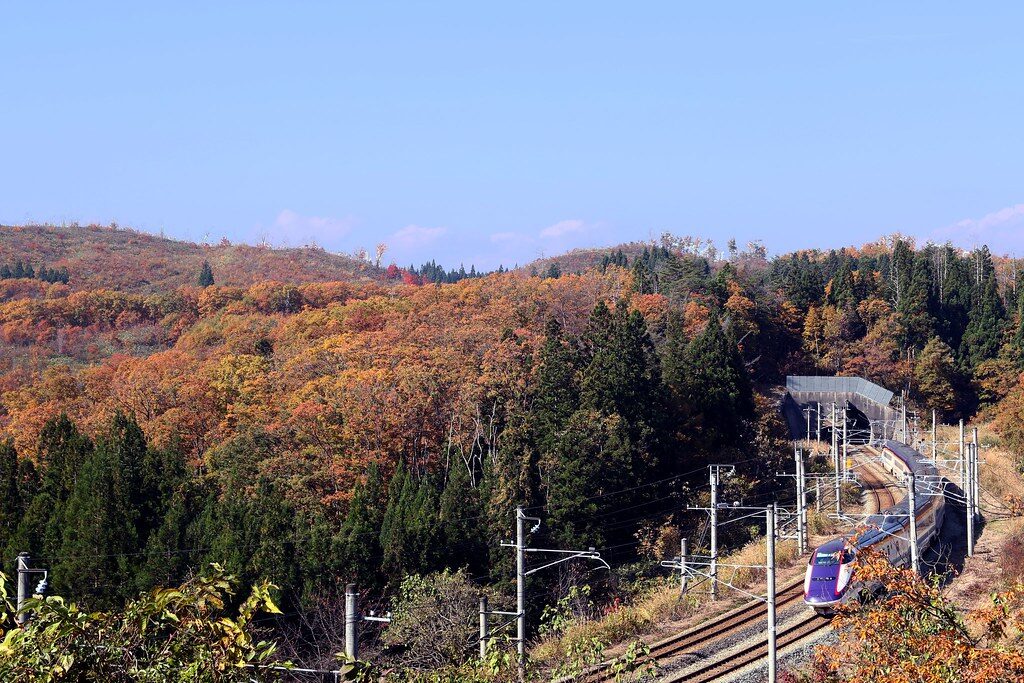 紅葉に染まる猿羽根山を越える山形新幹線つばさ