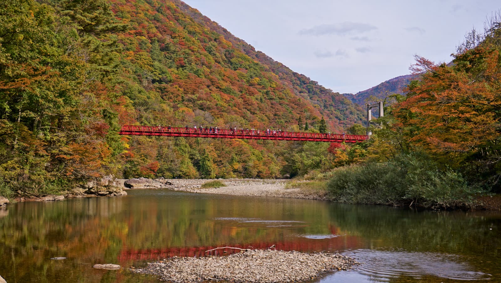 紅葉に包まれた抱返り渓谷、玉川に架かる赤い神の岩橋
