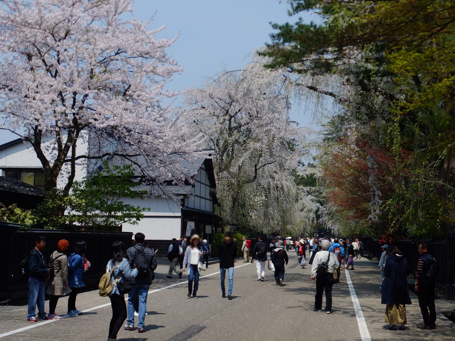 秋田 2泊3日モデルコース｜角館・田沢湖・男鹿・横手を巡る旅