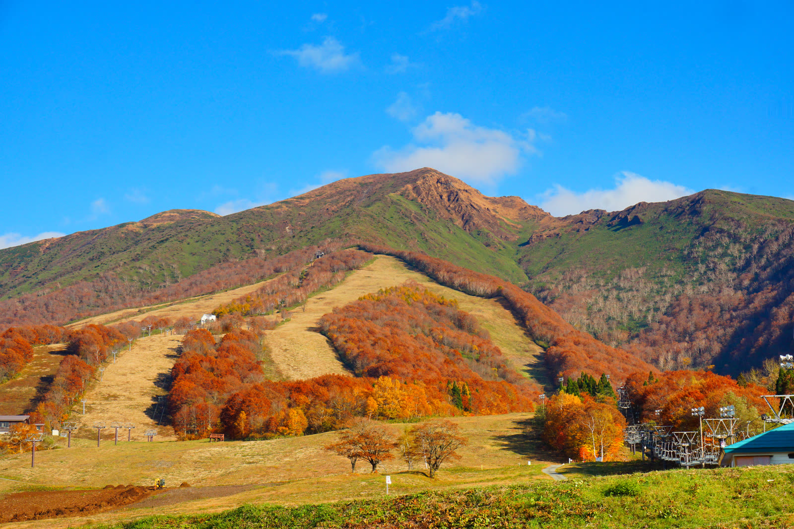 田沢湖スキー場から望む紅葉の秋田駒ヶ岳