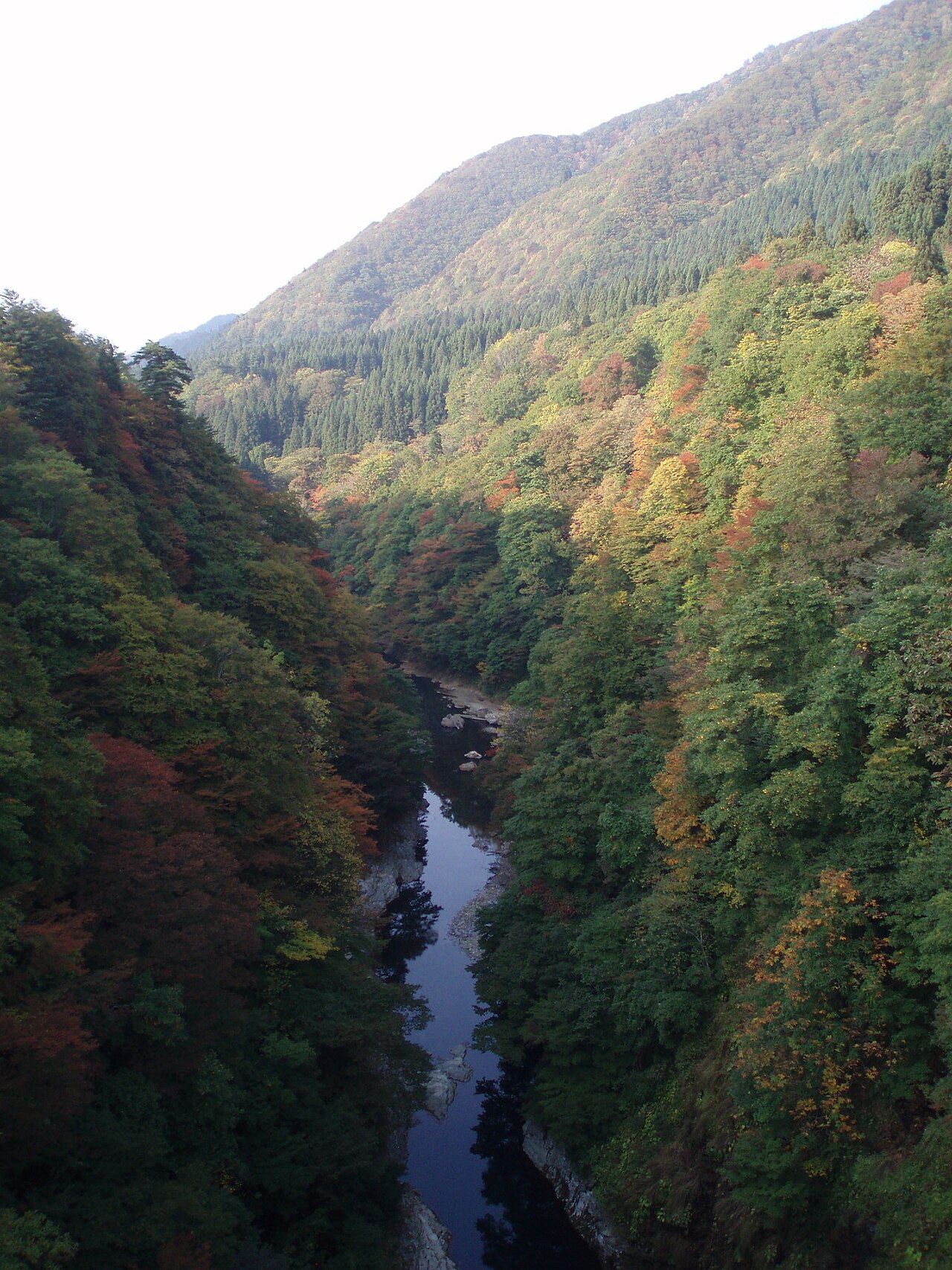 紅葉に染まる小安峡の渓谷と皆瀬川