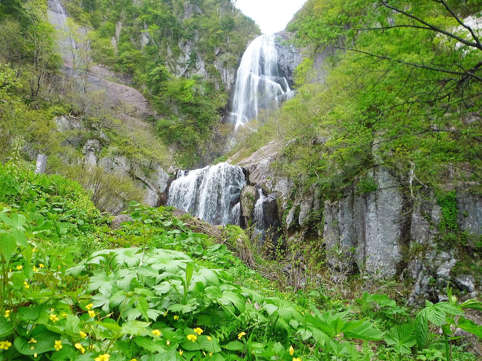 新緑の中ノ又渓谷にかかる安の滝、上段と下段の二段構造