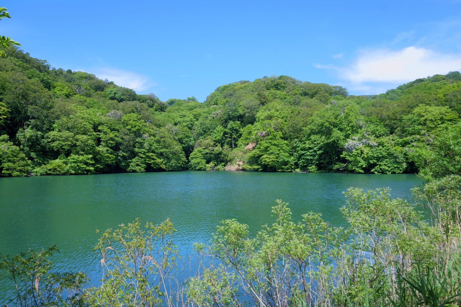 十二湖・落口の池の透明な水面