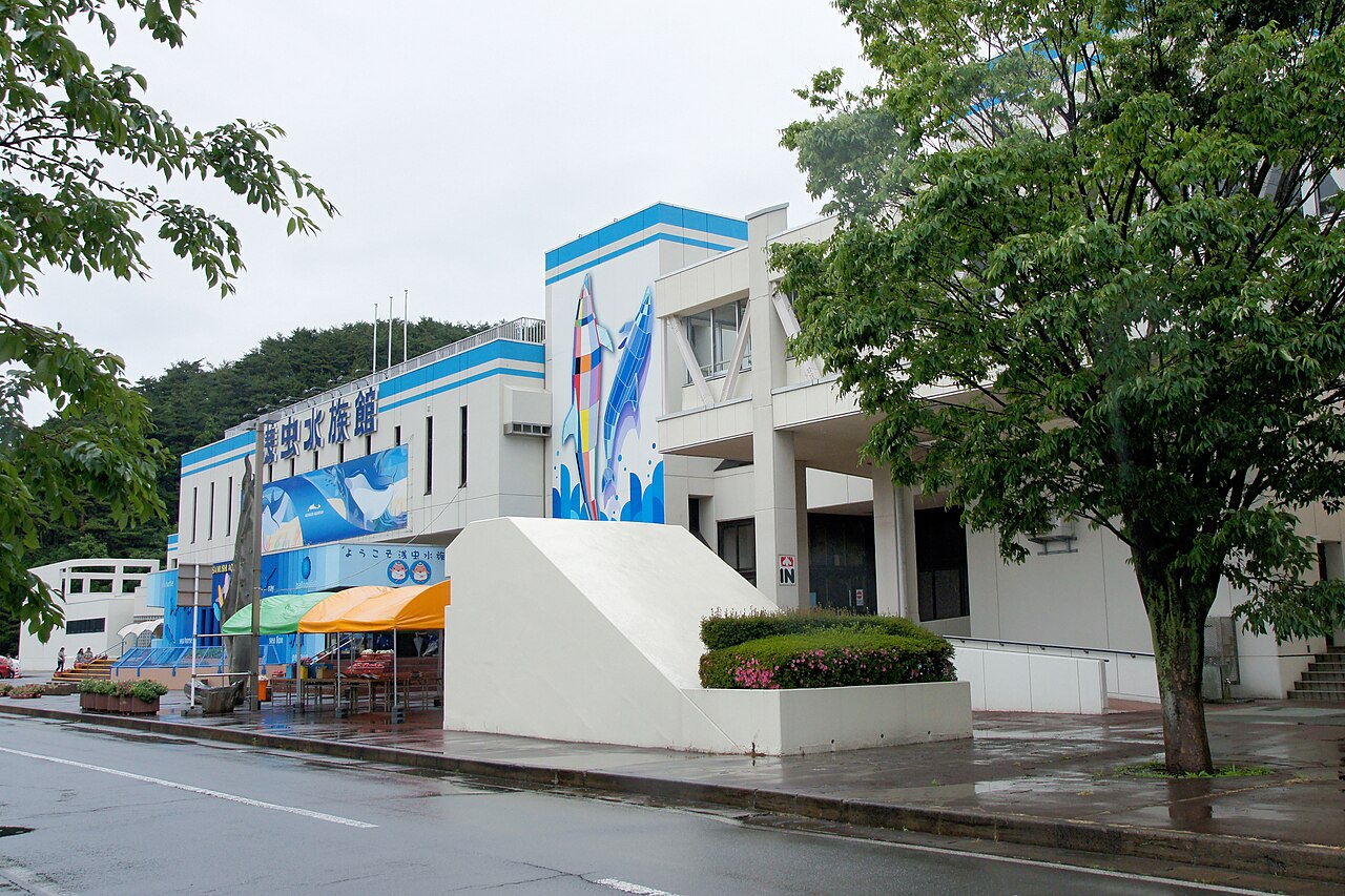 浅虫水族館の外観と館名サイン、雨上がりの道路
