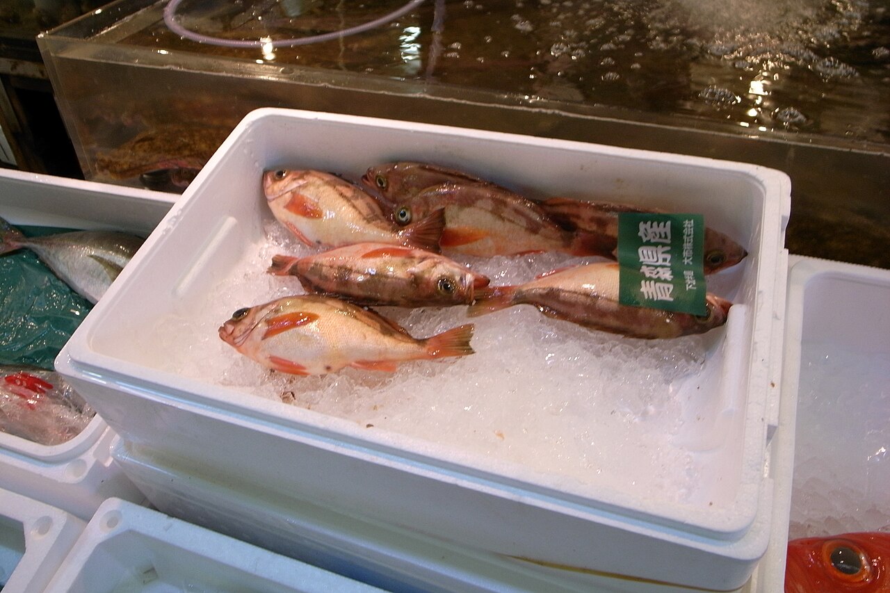 青森県産の札がついた氷の上の鮮魚