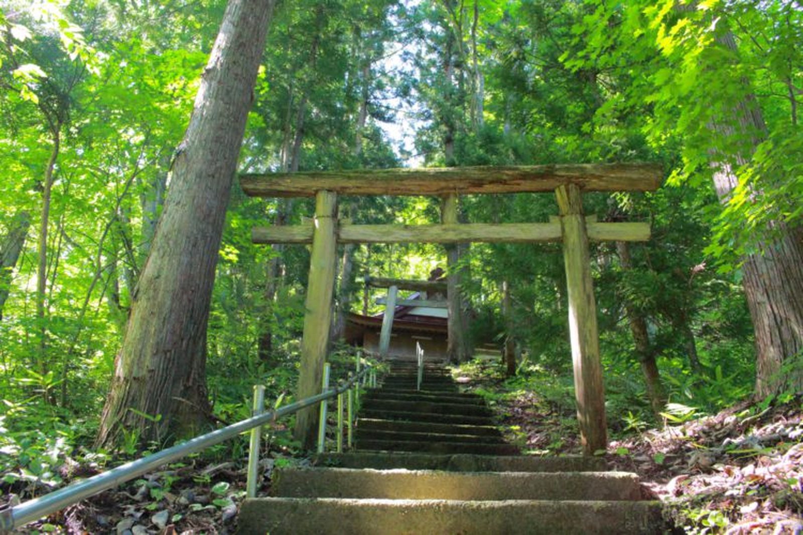石神神社の石段と鳥居、社殿へ続く参道