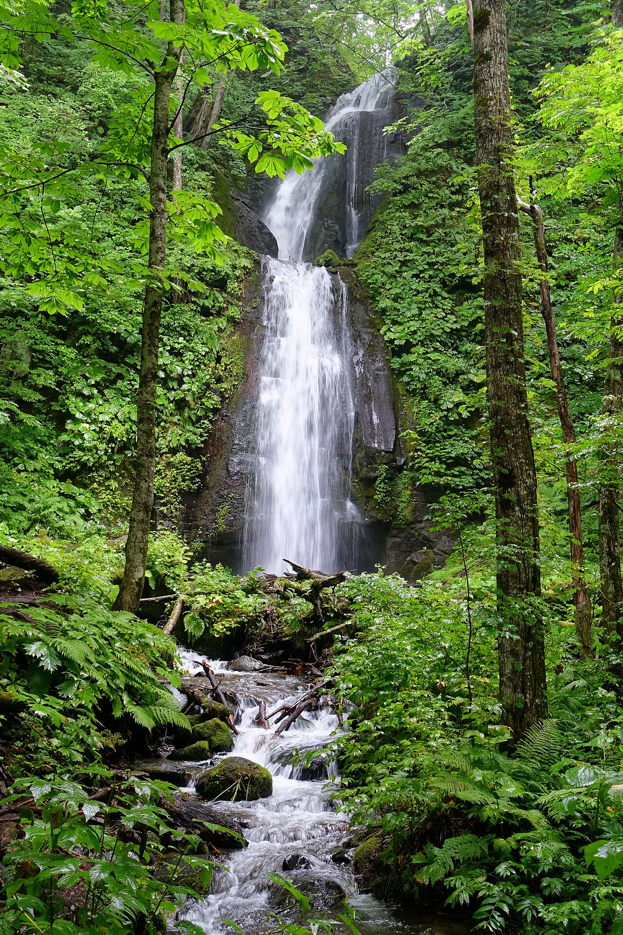 雲井の滝の水流と苔むした岩