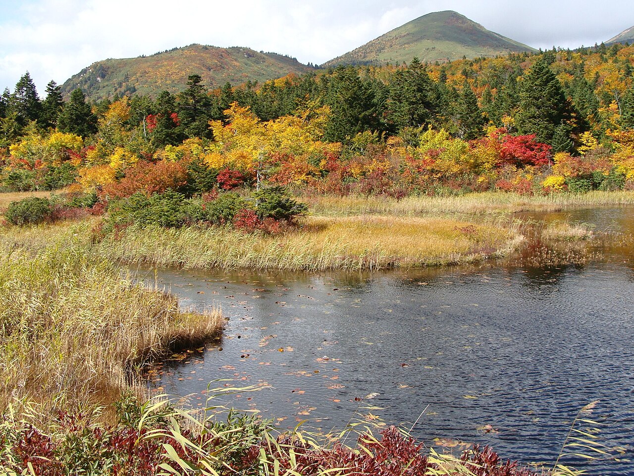 秋の睡蓮沼と色づいた八甲田の山々