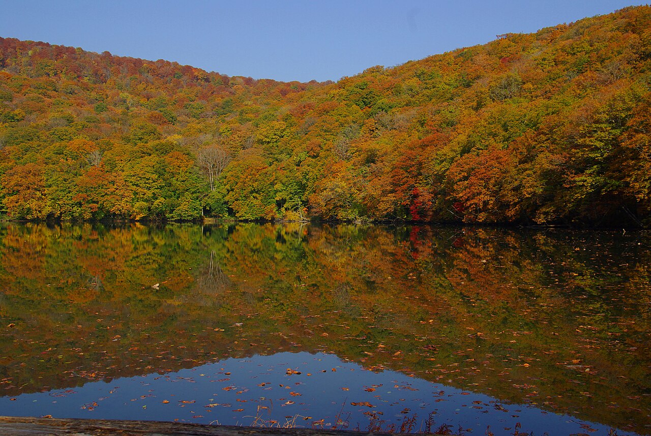 紅葉に包まれた蔦沼と水面に映り込む色づいたブナ林
