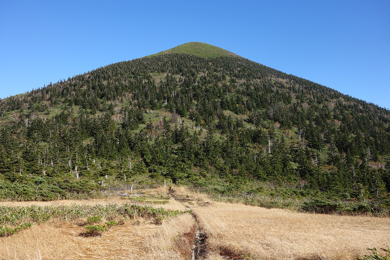 青空の下、針葉樹に覆われてそびえる高田大岳の山容