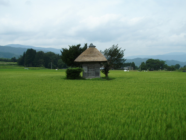田んぼの中に佇む荒神神社の茅葺屋根の社殿