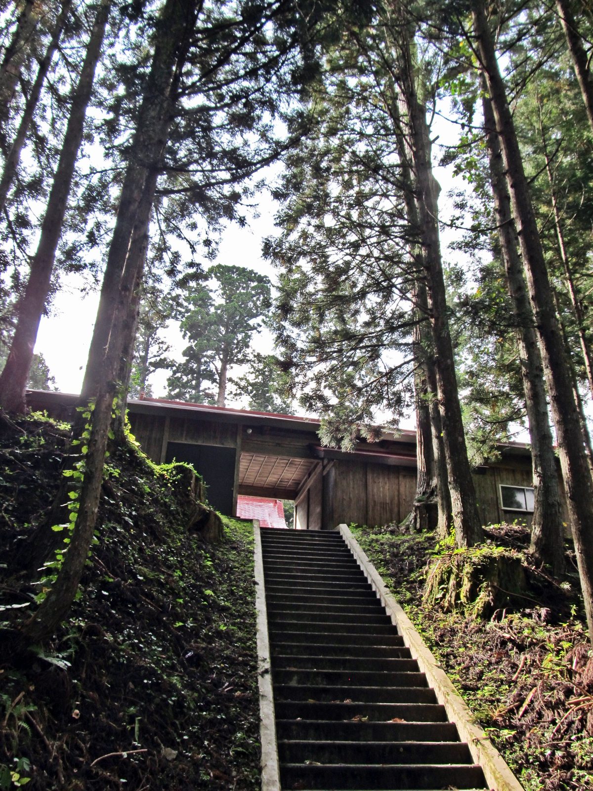 荒雄川神社の石段の参道