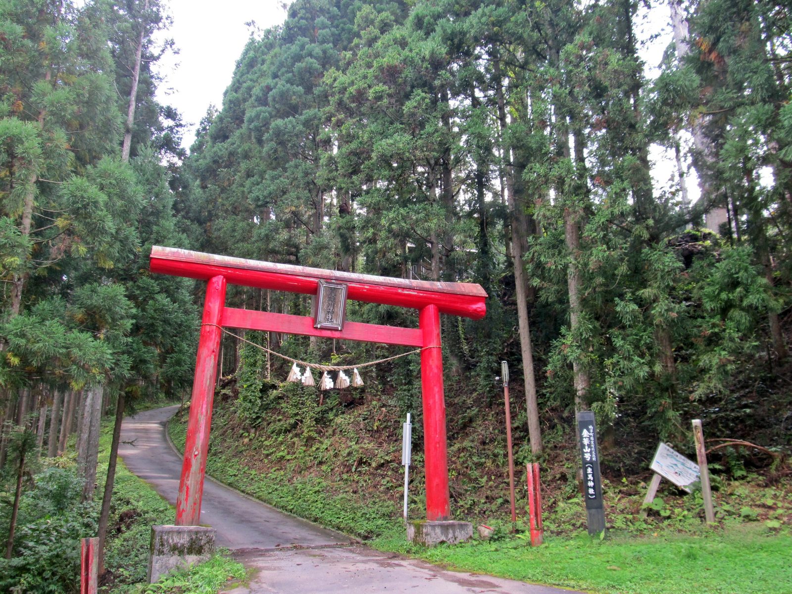 荒雄川神社の赤い大鳥居と杉木立の参道