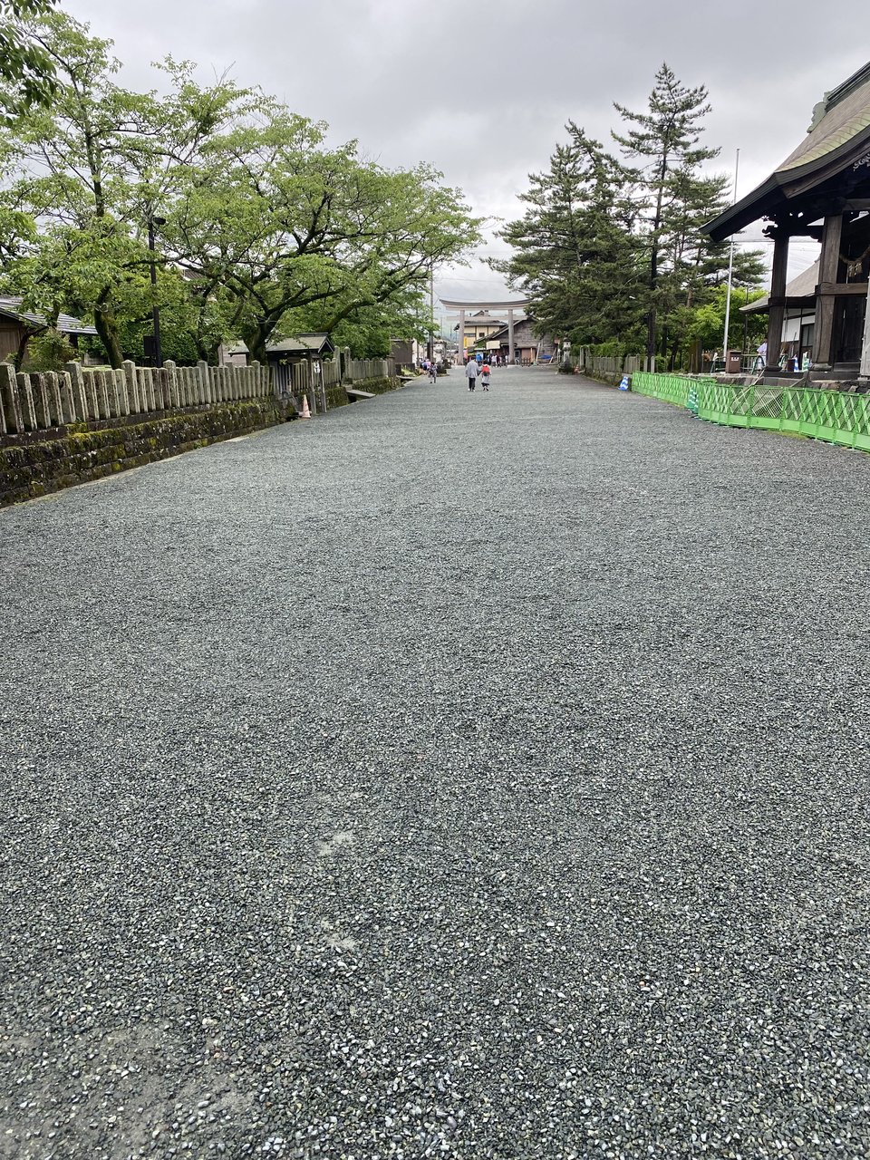 阿蘇神社の境内、参道と杉木立の眺め
