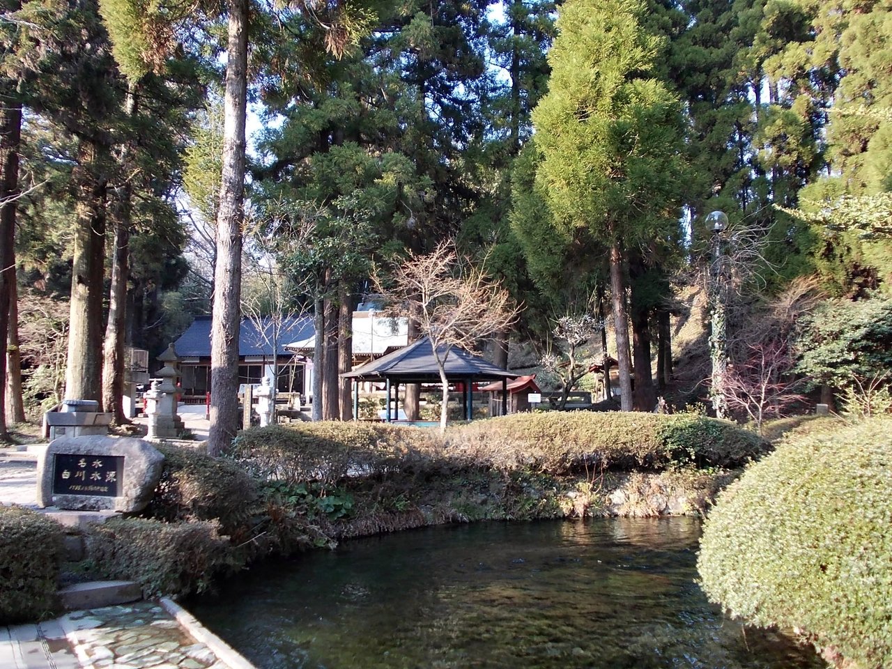白川水源の境内、吉見神社と木々に囲まれた湧水池
