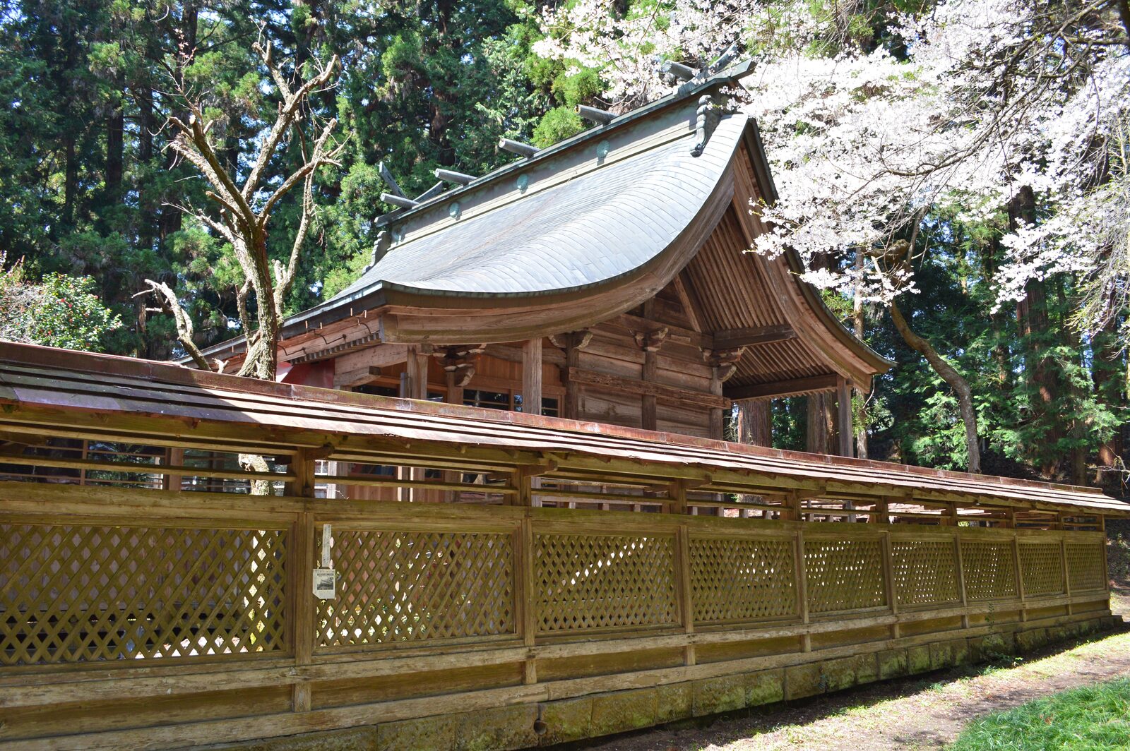 国指定重要文化財の馬場都々古別神社本殿