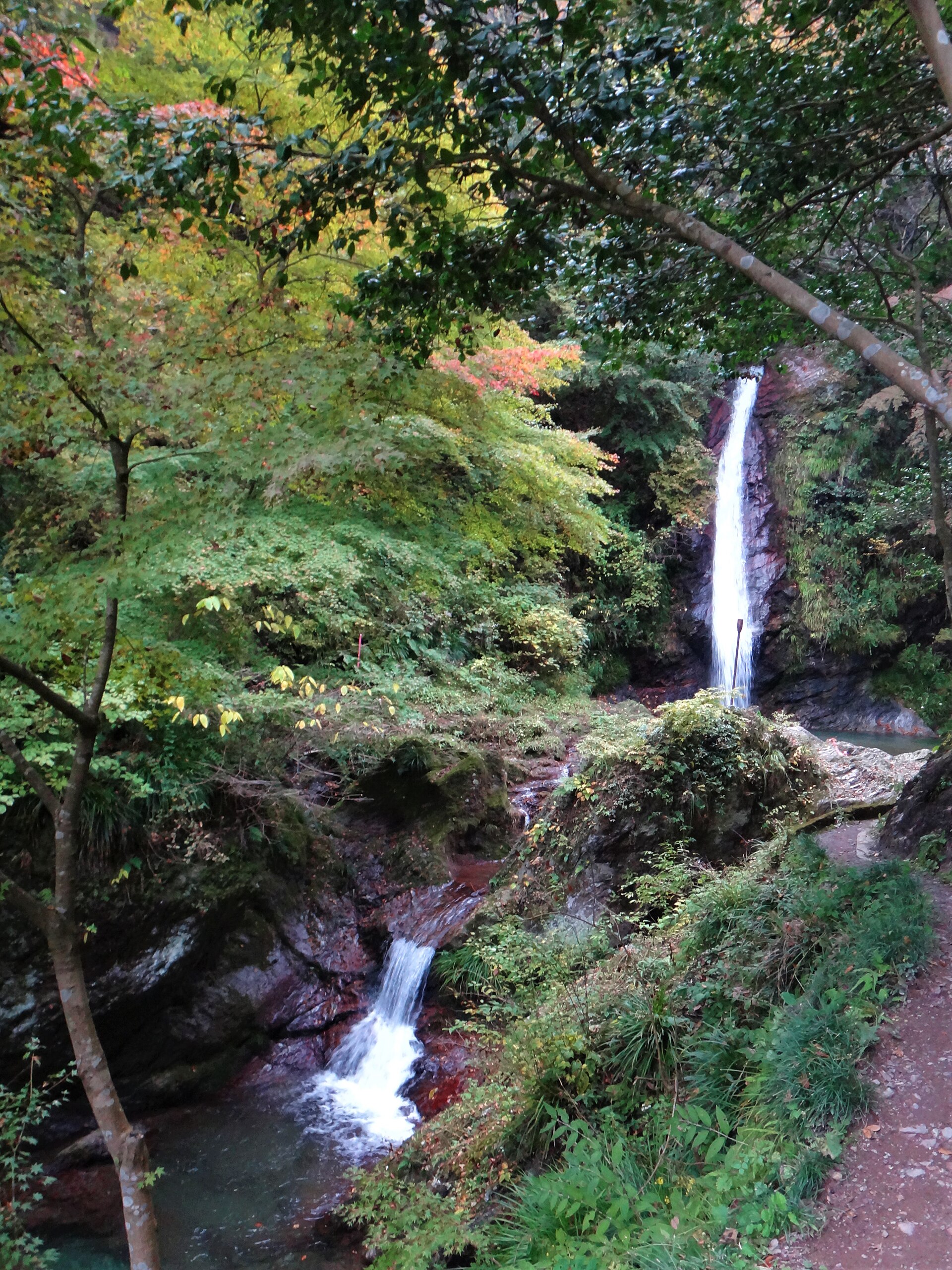 赤色チャートの岩壁を流れ落ちる秩父華厳の滝、紅葉に包まれた渓谷