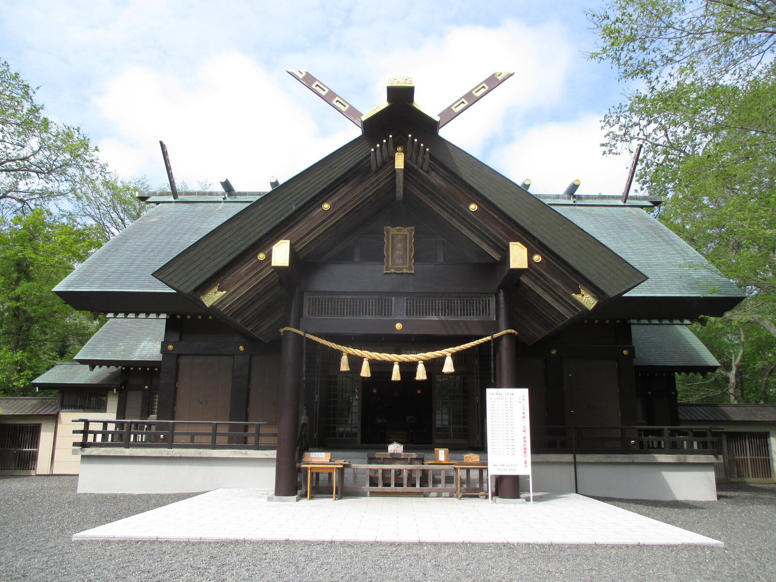 新緑に包まれた千歳神社の社殿