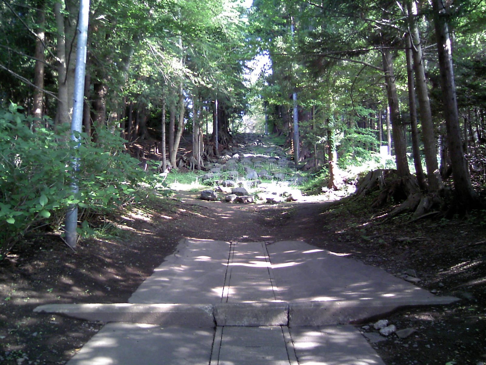 長者山新羅神社の参道、木々に囲まれた石段