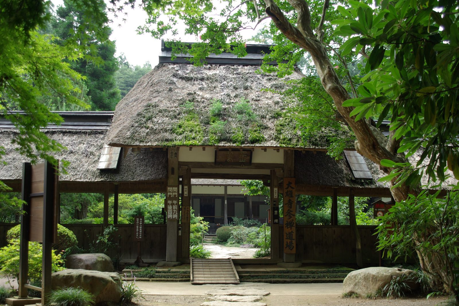 大雄寺の茅葺屋根の総門