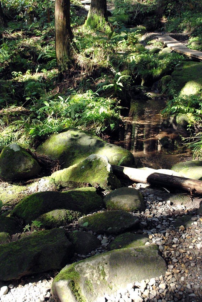 苔むした岩の間を流れる胴腹滝の清らかなせせらぎ