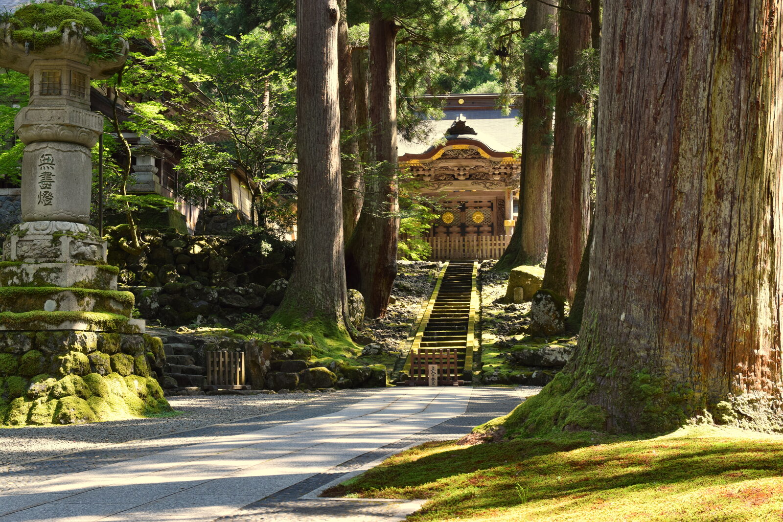 永平寺の七堂伽藍と老杉の境内