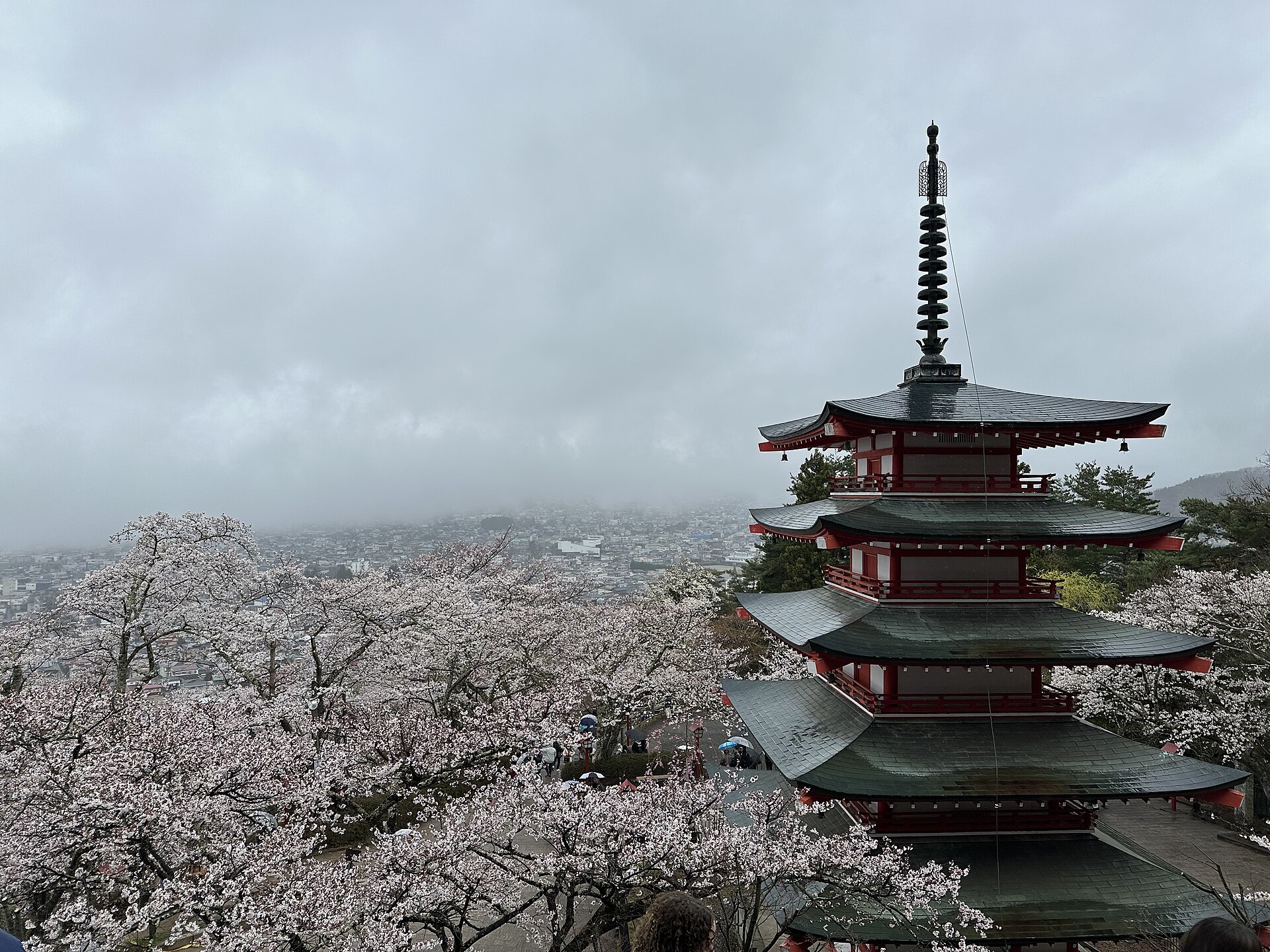 展望デッキから見上げる忠霊塔と桜