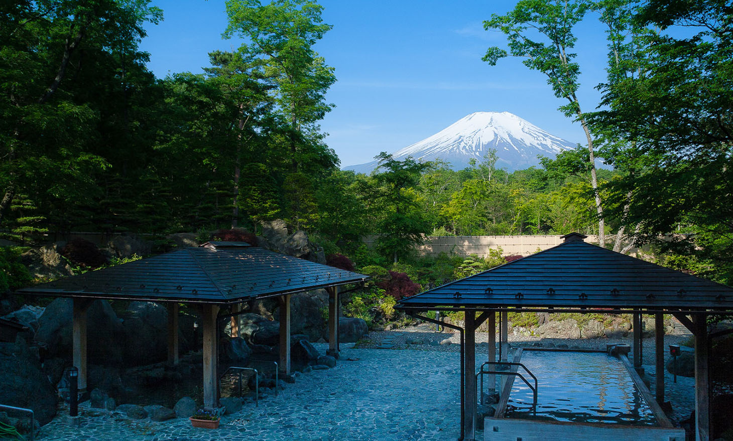 紅富士の湯の露天風呂と新緑の富士山