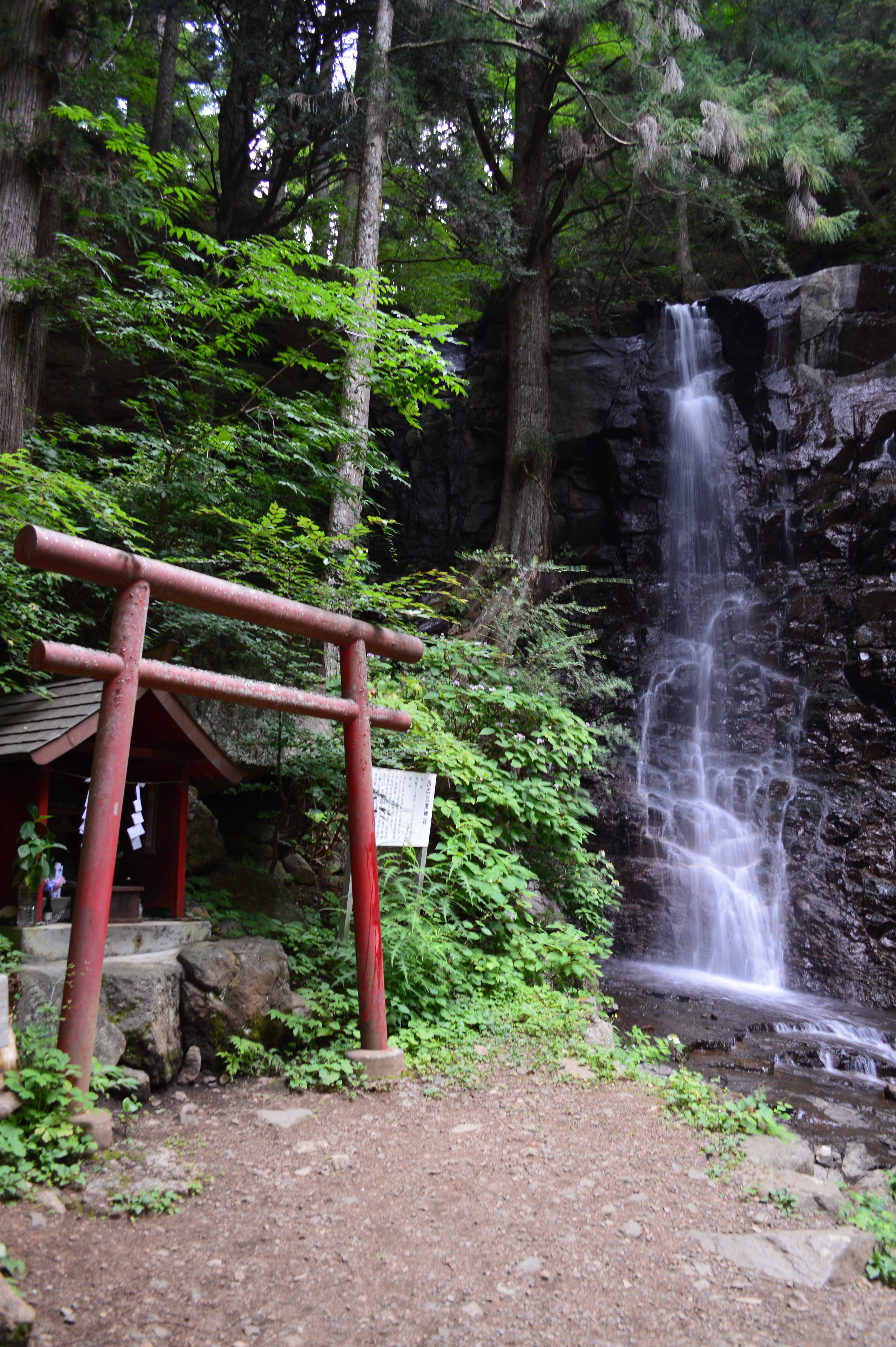 母の白滝、木立の奥にひっそりと落ちる滝