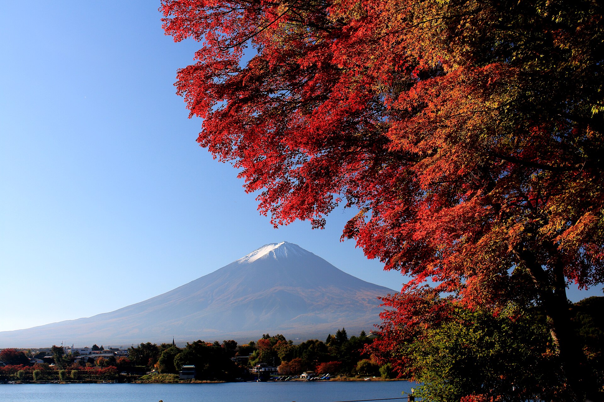 河口湖畔の紅葉と富士山