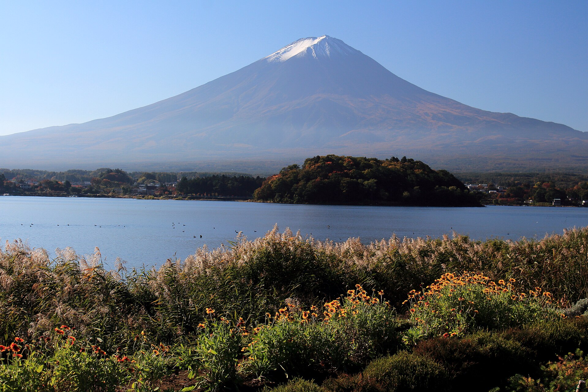 大石公園の花街道から河口湖越しに富士山を望む風景
